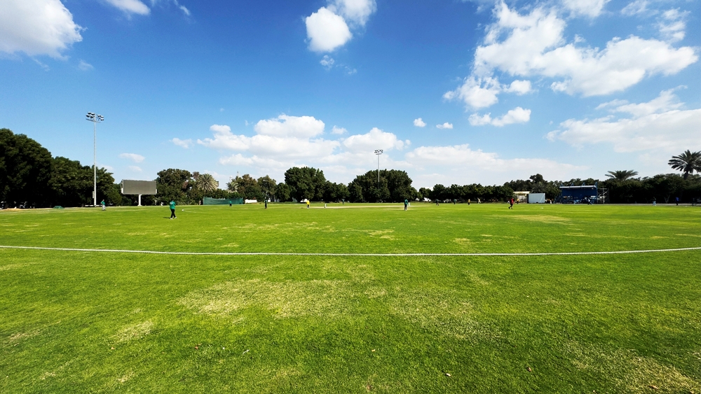 Fielding Drills to Transform You Into a Game-Changer