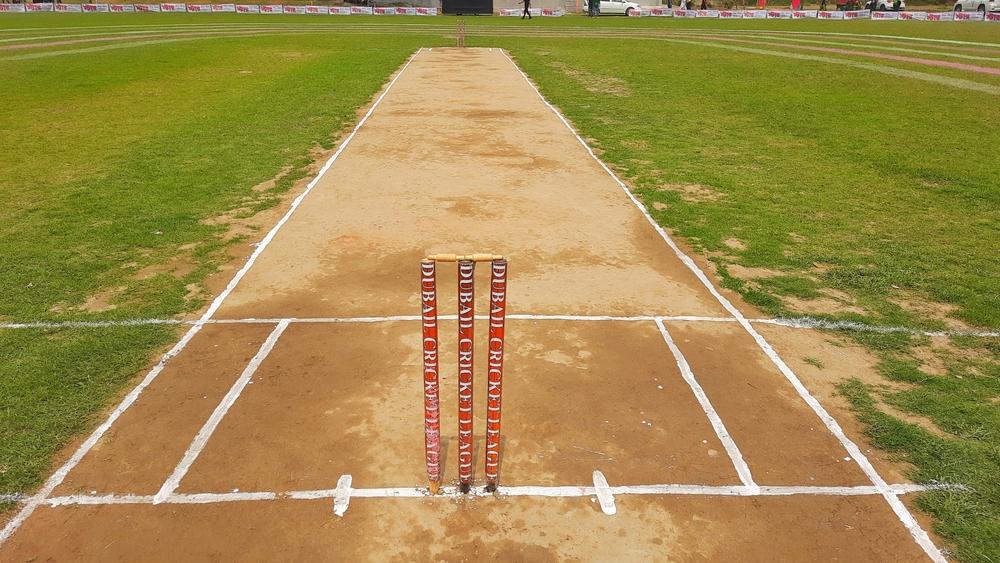 Cricket Nutrition: Fueling Performance on the Field
